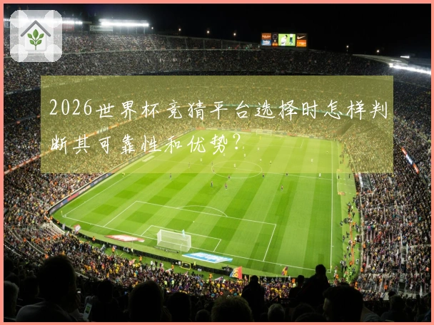 2026世界杯竞猜平台选择时怎样判断其可靠性和优势？