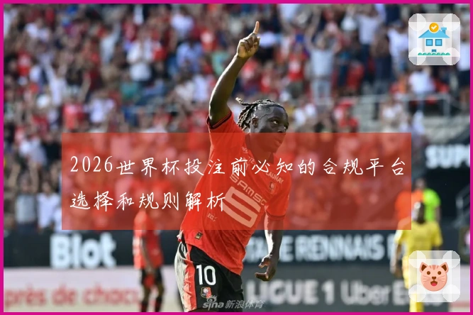 2026世界杯投注前必知的合规平台选择和规则解析